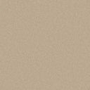 Cream Swatch