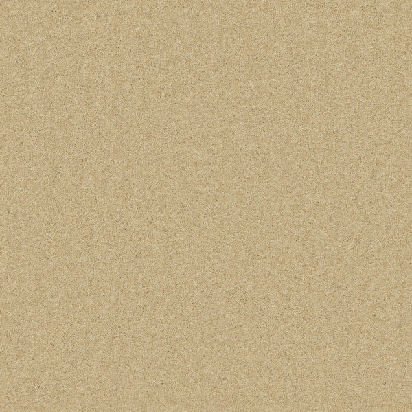 Sand