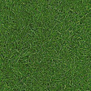 Grass