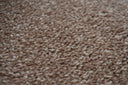 Coffee Swatch