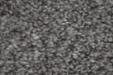 Dove Swatch