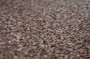 Gingerbread Swatch