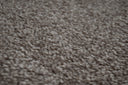 Mushroom Swatch