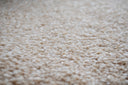 Sand Swatch