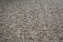 Sepia Swatch
