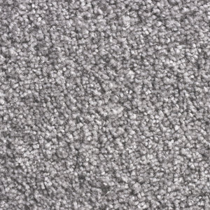 Pebble