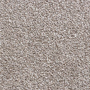 Wheat Swatch
