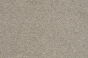Beige Swatch