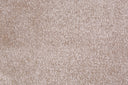 Beige Swatch
