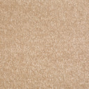 Cream Swatch