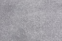 Silver Swatch