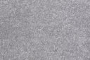 White Silver Swatch