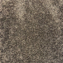 Cappuccino Swatch