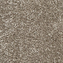 Almond Swatch