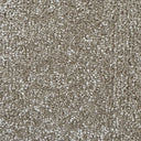 Beige Swatch