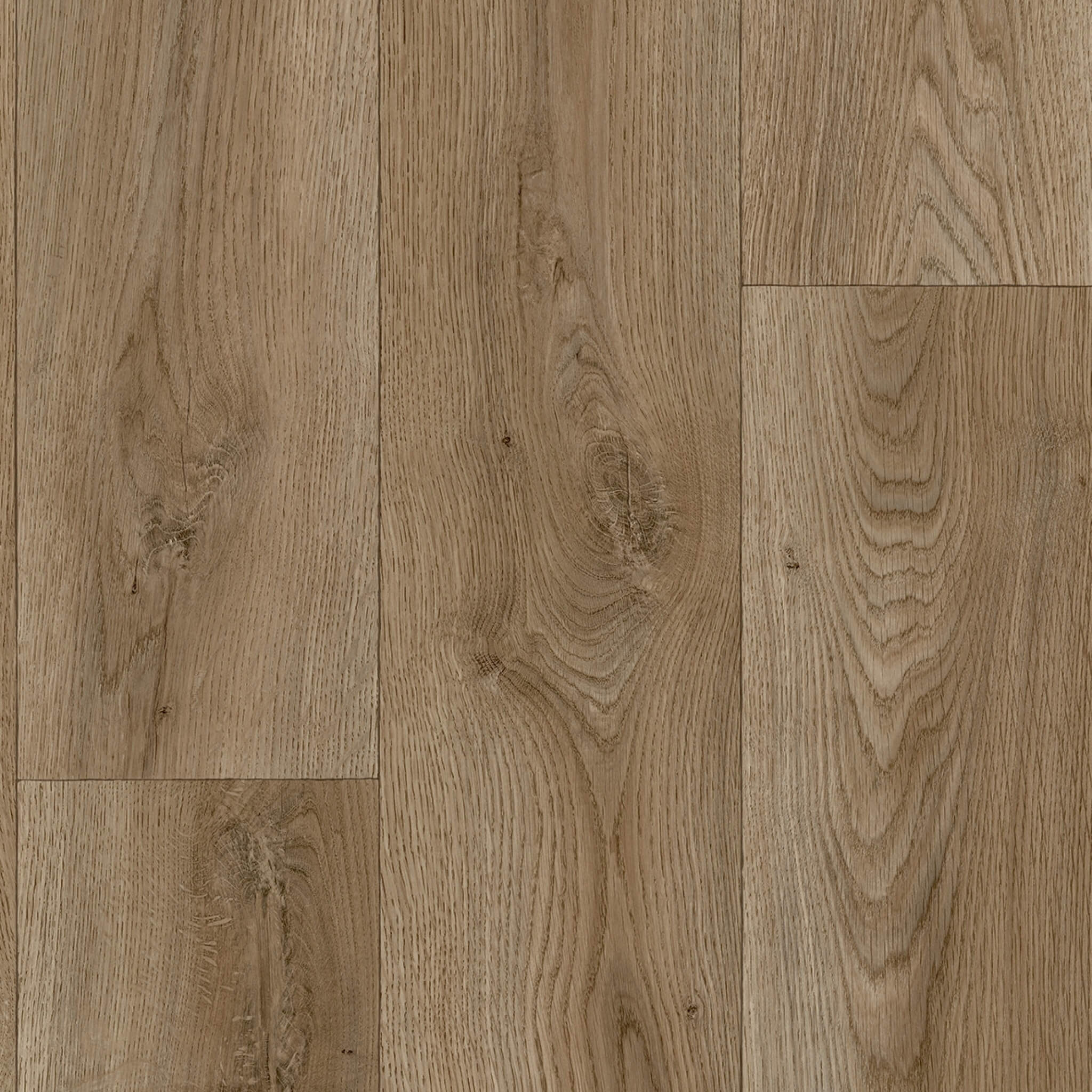 Dark Oak