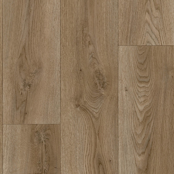 Dark Oak