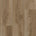 Dark Oak