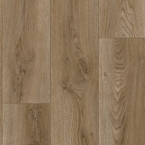 Dark Oak