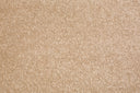 Vanilla Swatch