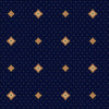 Navy/Gold