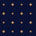 Navy/Gold