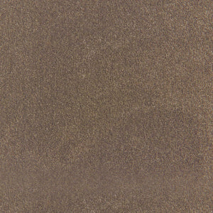 Cocoa