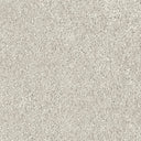 Sand Swatch