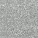 Silver Swatch