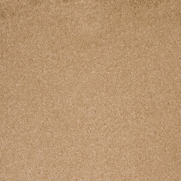 Soft Beige