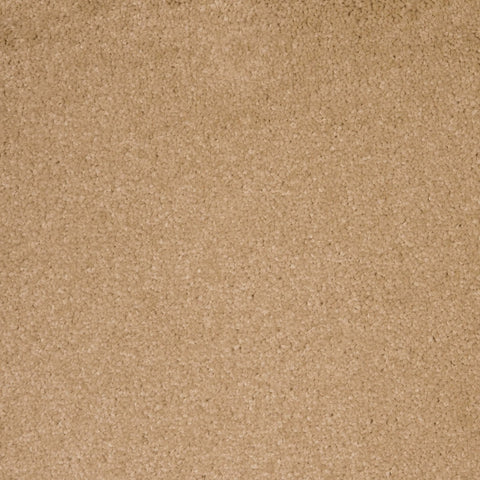 Soft Beige