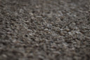 Bark Swatch