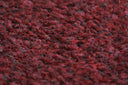 Crimson Swatch