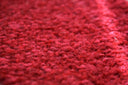 Ruby Swatch