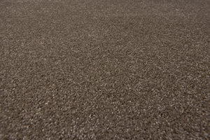 Ash Grey