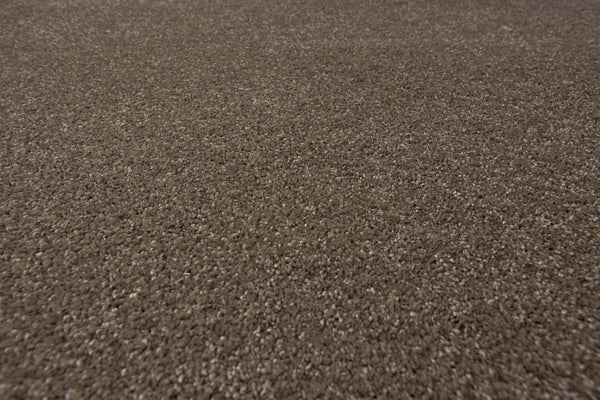 Ash Grey