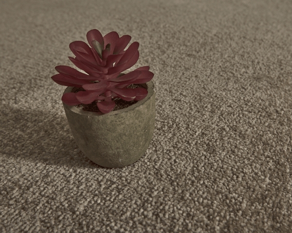 Pebble