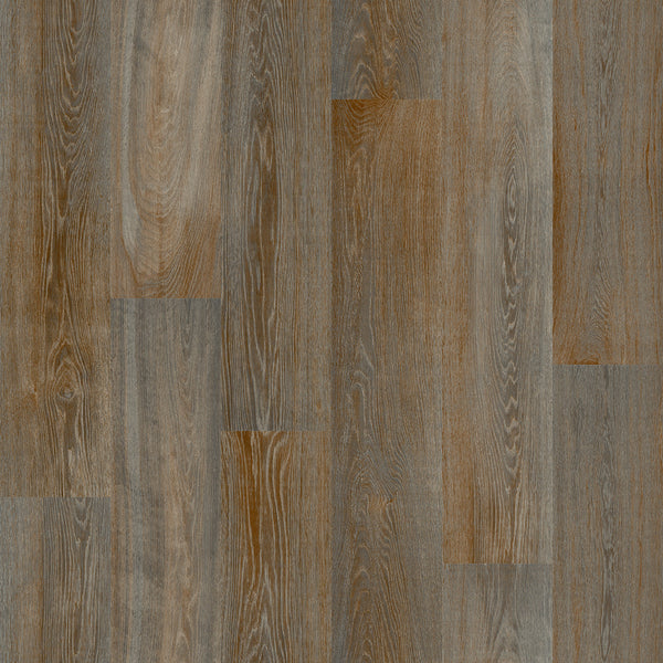 Dark Oak