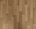 Oak