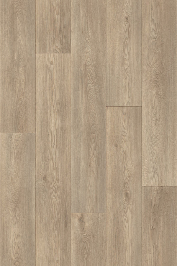Light Oak