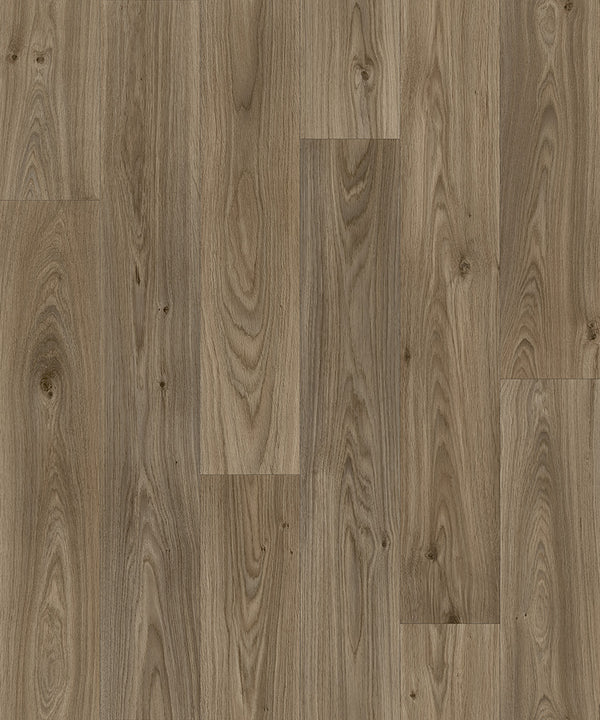 Medium Oak