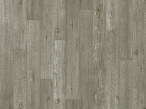Grey Oak
