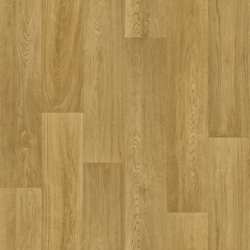 Medium Oak