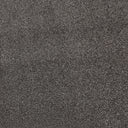 Charcoal Swatch