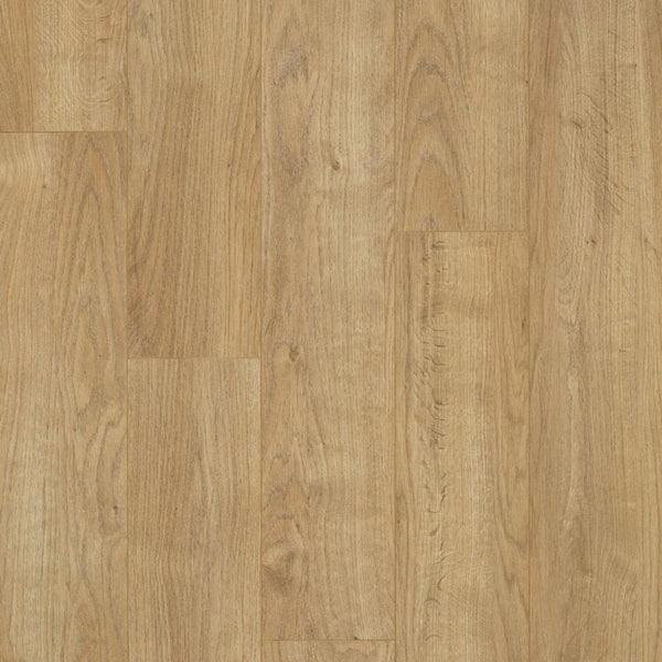 Chestnut