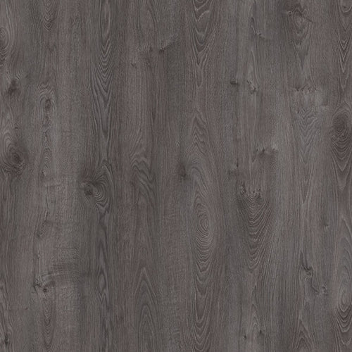 Dark Oak