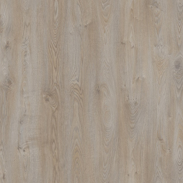 Pale Oak
