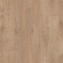 Sunlit Oak Swatch