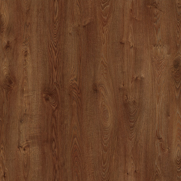 Warm Oak
