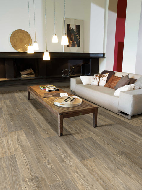 Dark Oak